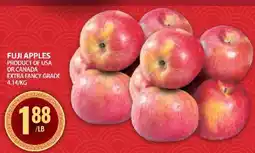 Food Basics FUJI APPLES offer