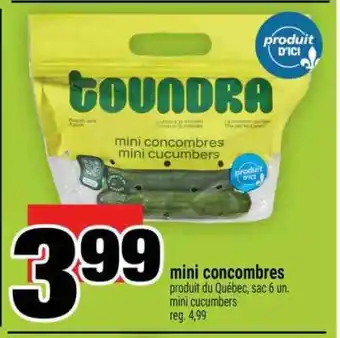 Super C mini concombres offer