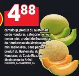Maxi Cantaloup, Melon Miel, Mini Melon d'Eau offer
