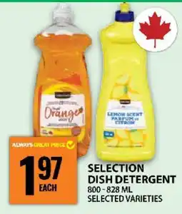 Food Basics SELECTION DISH DETERGENT offer