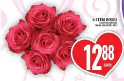Food Basics 6 Stem Roses offer