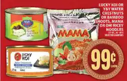 Food Basics Lucky Koi or Y&Y Water Chestnuts or Bamboo Shoots, Mama or Oh Ricey Noodles offer