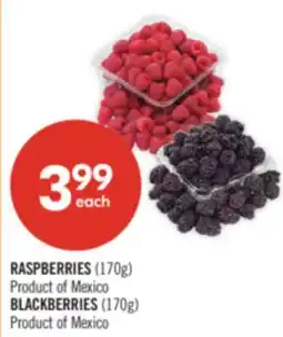 Shoppers Drug Mart RASPBERRIES (170g), BLACKBERRIES (170g) offer