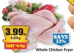 Starsky Whole Chicken Fryer offer