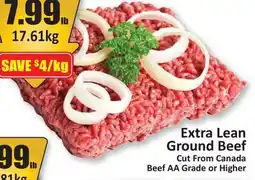 Starsky Extra Lean Ground Beef offer