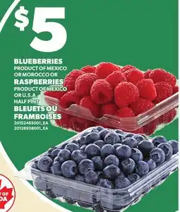 Independent City Market BLUEBERRIES OR RASPBERRIES, HALF PINT offer