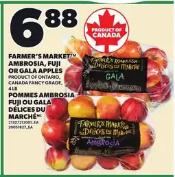 Independent City Market FARMER'S MARKET AMBROSIA, FUJI OR GALA APPLES 4 LB offer