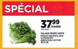 Kim Phat GREEN CURLY LETTUCE offer