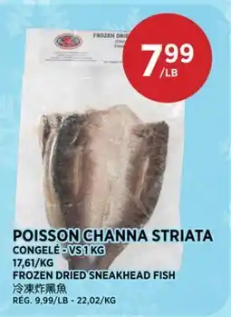 Kim Phat VS FROZEN DRIED SNEAKHEAD FISH offer