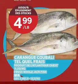 Kim Phat FRESH WHOLE JACK FISH offer