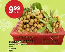 Kim Phat LONGAN offer