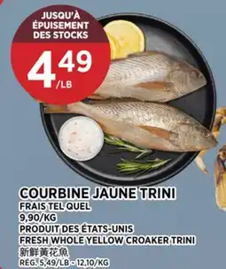 Kim Phat FRESH WHOLE YELLOW CROAKER TRINI offer