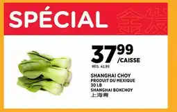 Kim Phat SHANGHAI BOKCHOY offer