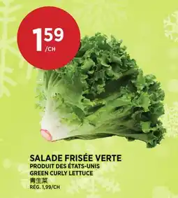 Kim Phat GREEN CURLY LETTUCE offer
