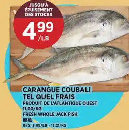 Kim Phat FRESH WHOLE JACK FISH offer