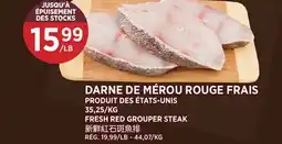 Kim Phat FRESH RED GROUPER STEAK offer