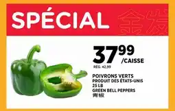 Kim Phat GREEN BELL PEPPERS offer