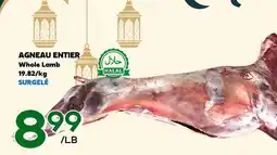 Marche Salaberry AGNEAU ENTIER offer