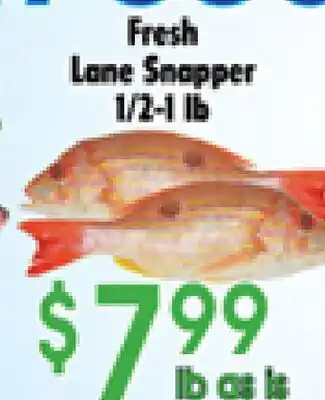 Danforth Food Market Fresh Lane Snapper offer