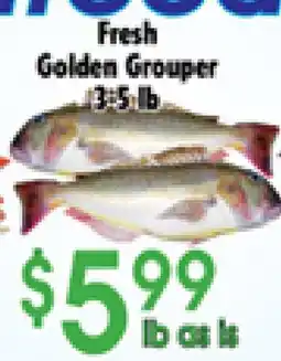 Danforth Food Market Fresh Golden Grouper offer