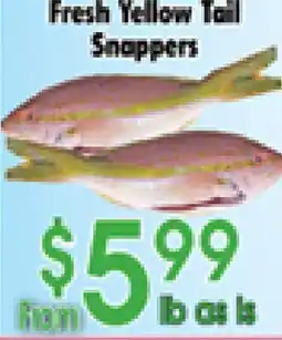 Danforth Food Market Fresh Yellow Tail Snappers offer