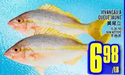 Marché Lian Tai VIVANEAU À QUEUE JAUNE offer