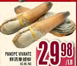 Marché Lian Tai PANOPE VIVANTE offer