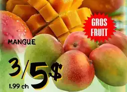 Marche Salaberry MANGUE offer