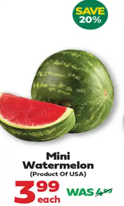 Iqbal Foods Mini Watermelon offer