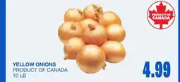 Wholesale Club Yellow Onions offer