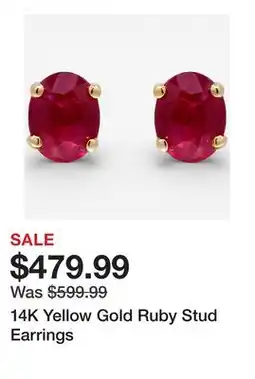 TSC Stores 14K Yellow Gold Ruby Stud Earrings offer