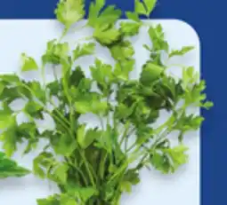 Walmart Persil plat offer