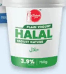 Walmart Yogourt nature halal Baladi 3,9% offer