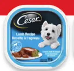 Walmart Cesar wet dog food offer