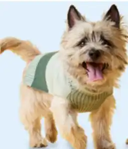 Walmart One Paw spring dog sweaters offer