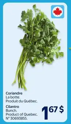Walmart Cilantro Bunch offer