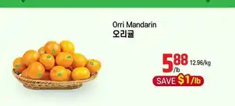 Galleria Supermarket Orri Mandarin offer