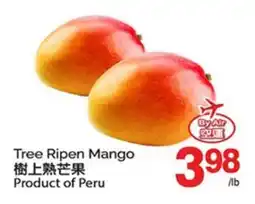 T&T Supermarket TREE RIPEN MANGO offer