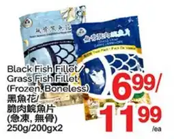 T&T Supermarket BLACK FISH FILLET/ GRASS FISH FILLET, 250G/200GX2 offer