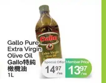 T&T Supermarket GALLO PURE EXTRA VIRGIN OLIVE OIL offer