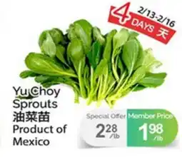 T&T Supermarket Yu Choy Sprouts offer