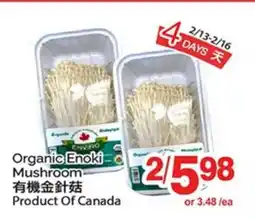T&T Supermarket ORGANIC ENOKI MUSHROOM offer