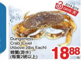 T&T Supermarket DUNGENESS CRAB offer