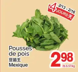 T&T Supermarket POUSSES DE POIS, MEX offer