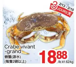 T&T Supermarket CRABE VIVANT -GRAND offer