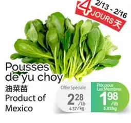 T&T Supermarket POUSSES DE YU CHOY offer