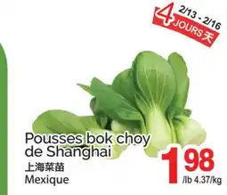 T&T Supermarket POUSSES BOK CHOY DE SHANGHAI offer