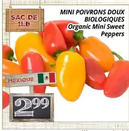 Supermarché PA MINI POIVRONS DOUX BIOLOGIQUES | Organic Mini Sweet offer