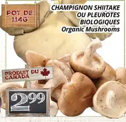 Supermarché PA CHAMPIGNON SHIITAKE OU PLEUROTES | Organic Mushrooms offer