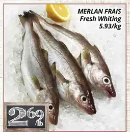 Supermarché PA MERLAN FRAIS | Fresh Whiting offer